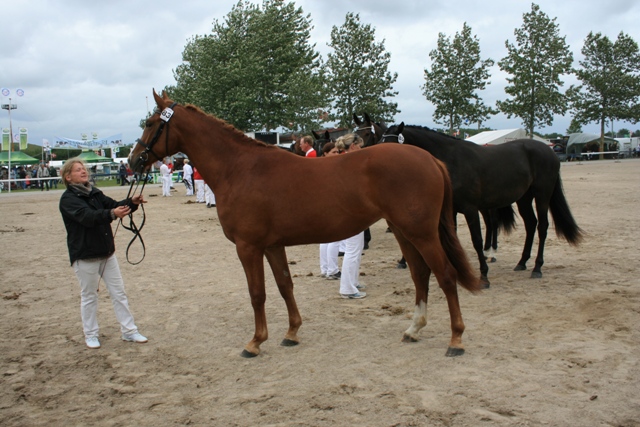 Ktl. 83, Jo-Anne A Teglgaard 208333OL0901205 - 22 p. - tilh. Else Marie Iversen, Ringkøbing